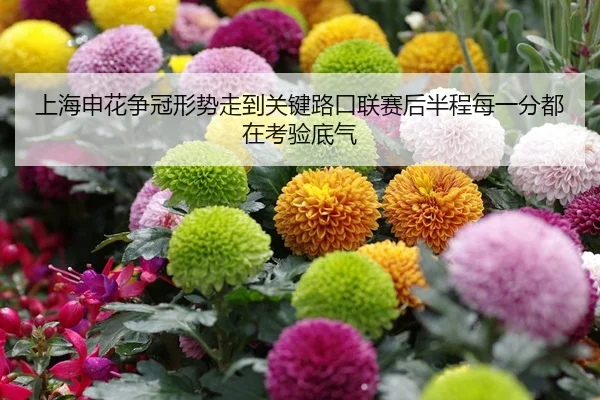 上海申花争冠形势走到关键路口联赛后半程每一分都在考验底气